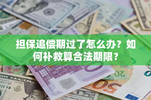 济南担保追偿期过了怎么办？如何补救算合法期限？