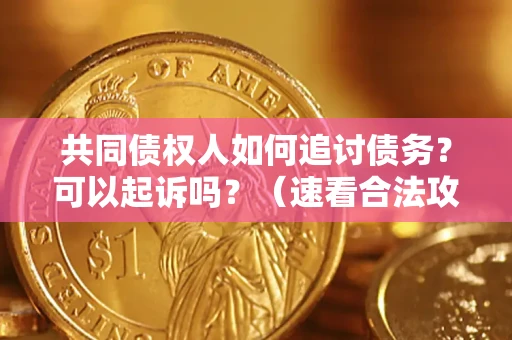 济南共同债权人如何追讨债务？可以起诉吗？（速看合法攻略）