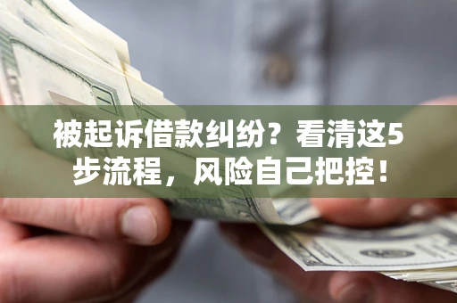 济南被起诉借款纠纷？看清这5步流程，风险自己把控！